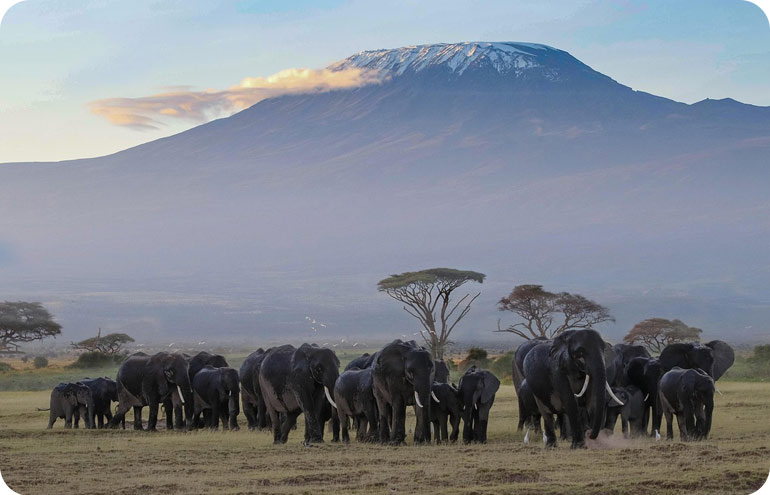 Amboseli-National-Park