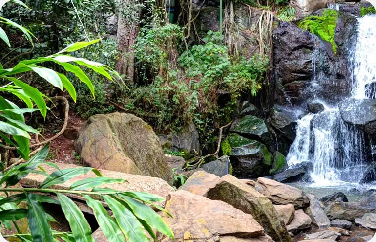 Oloolua-Nature-Trail